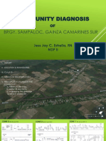 Community Diagnosis