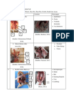 Reproductive Systems of Mice, Koi Fish, Catfish, Frogs, Lizards and Chickens