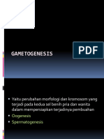 Gametogenesis RPS