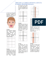 Pasos para Dibujar La Cabeza Humana Adulta de Forma Proporcionada