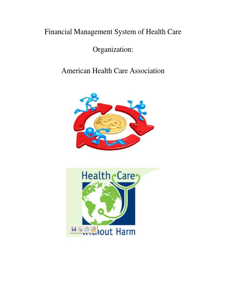 Financial Management System of Health Care Organization | PDF | Health