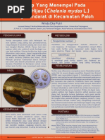 Download Teritip Cirripedia Pada Penyu Hijau by Winda Eka Putri SN394093741 doc pdf