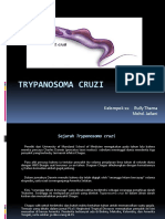 Trypanosoma Cruzi Kelas 2C