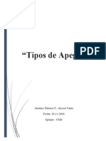 Tipos de Apego