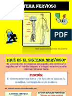 diapositivasdelsistemanervioso-121111163440-phpapp02.pdf