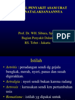 Penyakit Asam Urat Dan Penatalaksanaannya Baru2