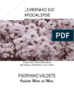 256338537-Padrinho-Valdete-O-Livrinho-Do-Apocalipse.pdf