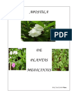 flores medicinais.pdf