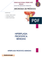 Seminario Hbp y Cancer de Prostata 2