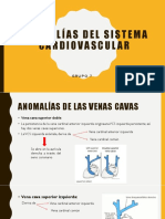 Anomalías Del Sistema Cardiovascular