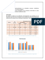 Reporte10