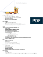 Major Blood Group Systems Guide