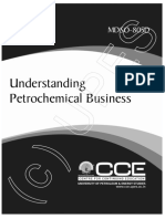 MBSO805D - Understanding - Petrochemical - Business PDF