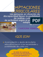 Presentacion Adaptaciones Curriculares