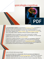 Neuropsicologia Cognitiva