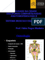 Osteologia  1