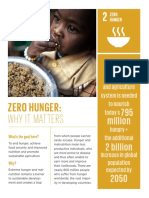 Zero Hunger:: Why It Matters