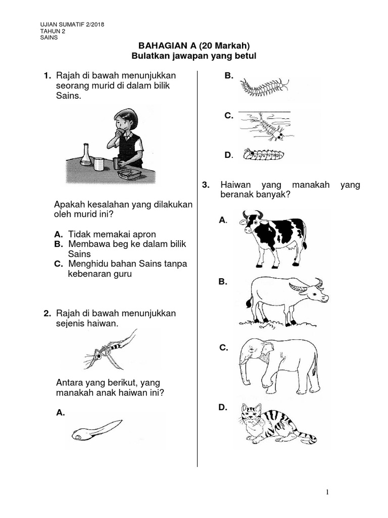 Sains Tahun 2 Penilaian Semester 1  PDF