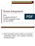 Sistem Integument