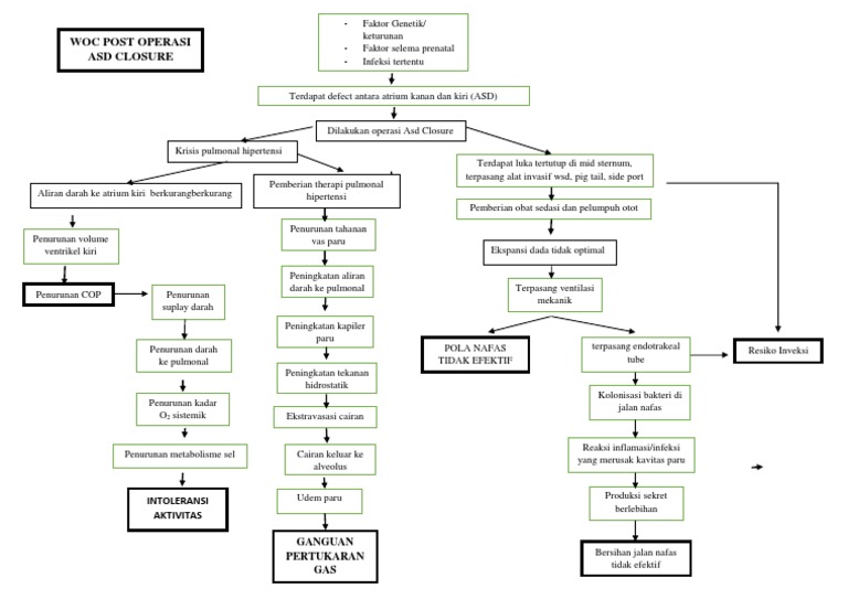 Woc Asd | PDF