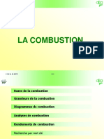 Combustion PDF