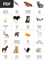 flashcards_animals.pdf