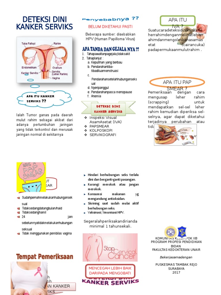 Leaflet Deteksi Dini Kanker Serviks | PDF