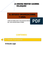 5 Estudio Organizacional Legal