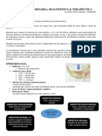 Incontinencia 85 PDF