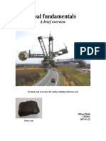 Coal Fundamental.pdf