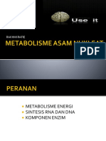 METABOLISME_ASAM_NUKLEAT.pptx