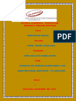 Elementos Del Derecho Alimentario y Sus Caracteristicas El Adoptante y El Adoptado