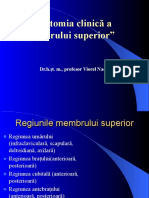 Membrul-superior-umar-antebrat.pdf