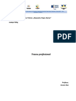 05 Traseu Profesional Personalizat Si Argumentat Avram Dan Adrian 0 PDF