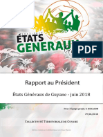 Rapport Etats Generaux de Guyane 2018