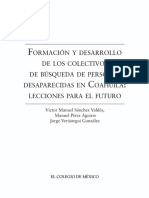 Formacion y Desarrollo de Los Colectivos PDF