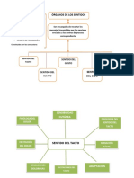 Anatomia Kb