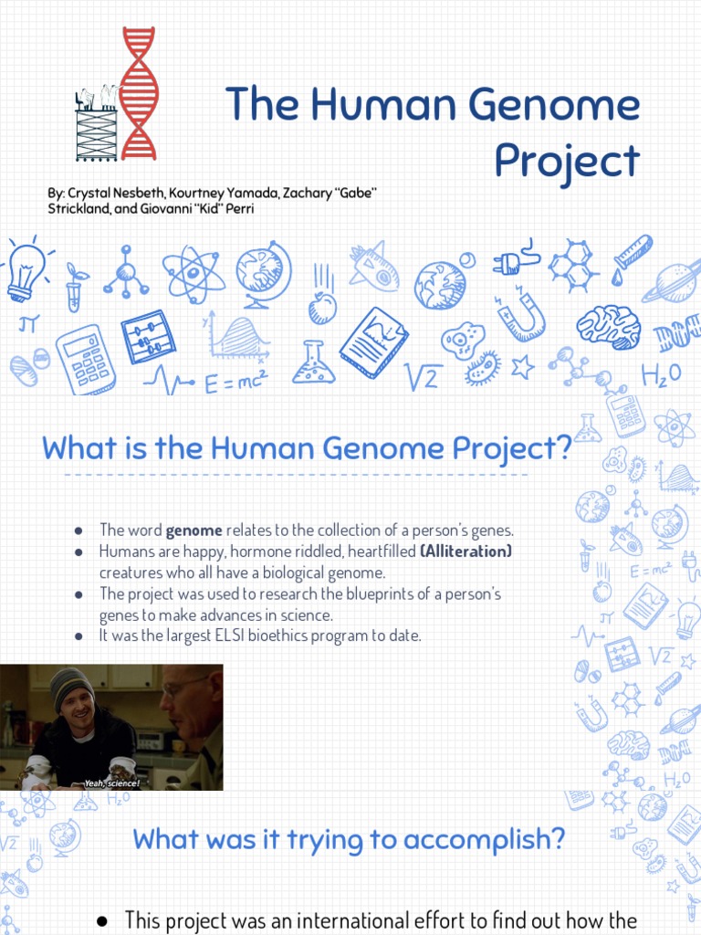 Overview of the Human Genome Project | PDF | Social Science | Wellness