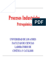 13 Procesos Industriales. Petroquímica