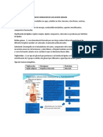 sesion 7 metabolismo lipidico