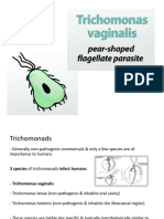 Trichomonas Vaginalis