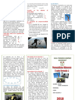 Triptico Paracidista Bumeran Formula 1