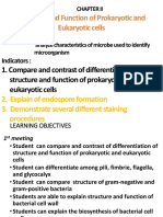 Cell Prokaryot