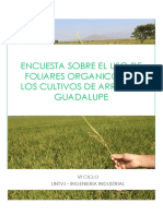 Encuesta proyecto de negocio