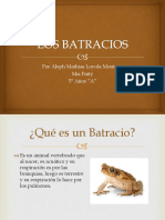 Los Batracios