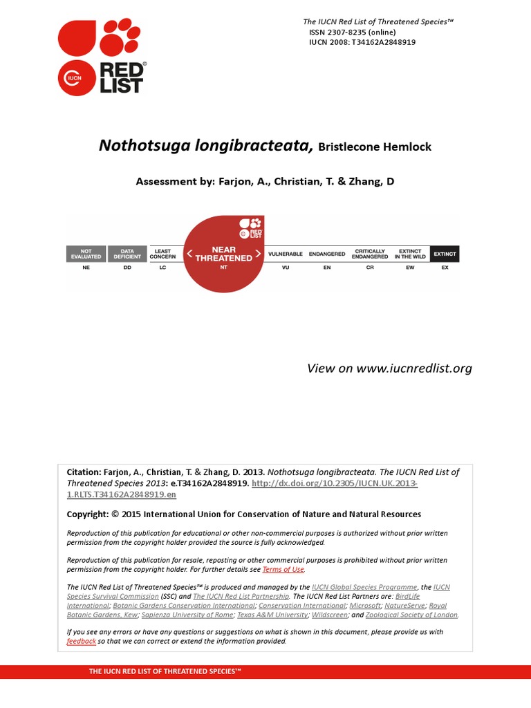 Nothotsuga Longibracteata, Assessment By Farjon, A., Christian, T
