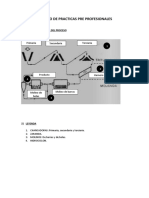 Trabajo de Practicas Pre Profesionales