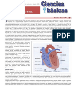 la contraccion del músculo cardíaco.  tarea.pdf