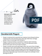 Morfologi Dan Anatomi Penguin