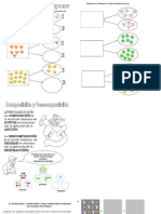 Aprende a componer y descomponer números de forma pictórica